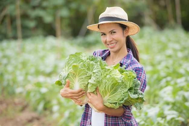 Los agricultores están trabajando en la granja de repollo chino