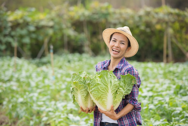 Los agricultores están trabajando en la granja de repollo chino