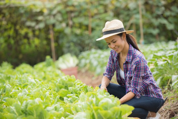 Los agricultores están trabajando en la granja de repollo chino