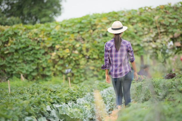 Los agricultores están trabajando en una granja de vegetales.