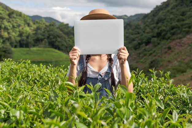 Agricultores sosteniendo una pizarra blanca en la plantación de té