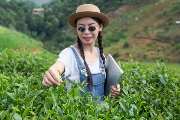 Foto gratuita agricultores con tabletas, compruebe el té, conceptos modernos.