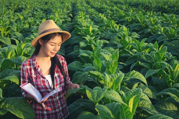 Los agricultores tienen cuadernos de cheques modernos de tabaco.