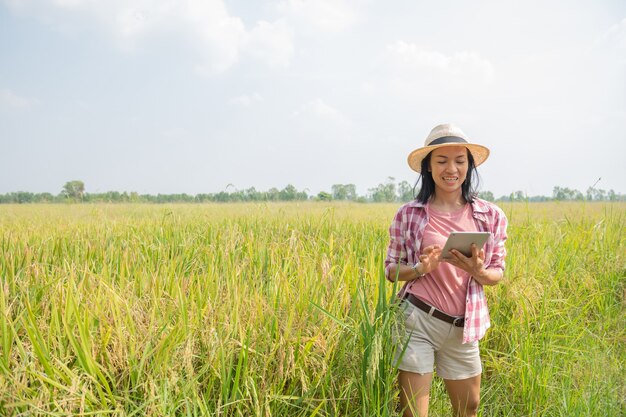 Agricultura inteligente utilizando tecnologías modernas en la agricultura. Granjero agrónomo joven asiático con tableta digital en campo de arroz usando aplicaciones e internet, granjero cuida su arroz.