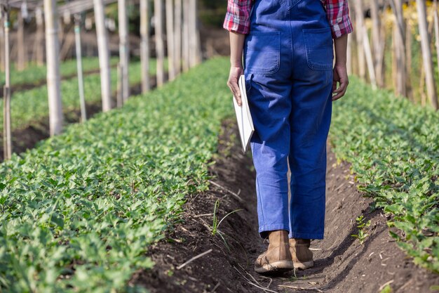 La agricultura investiga variedades de flores, conceptos agrícolas modernos.