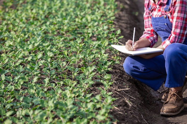 La agricultura investiga variedades de flores, conceptos agrícolas modernos.