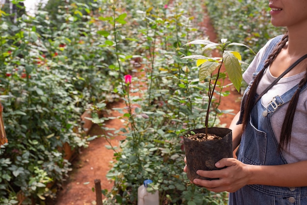 Agricultura. Las mujeres jóvenes inspeccionan el trabajo en la guardería.