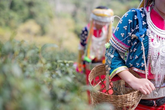 Foto gratuita agricultura de mujeres tribales