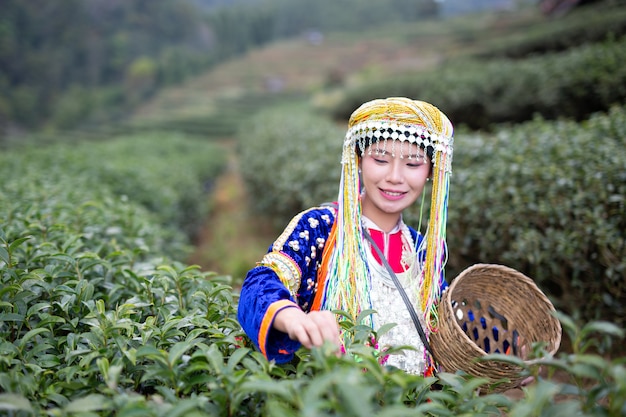 Agricultura de mujeres tribales