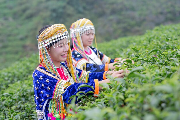 Agricultura de mujeres tribales