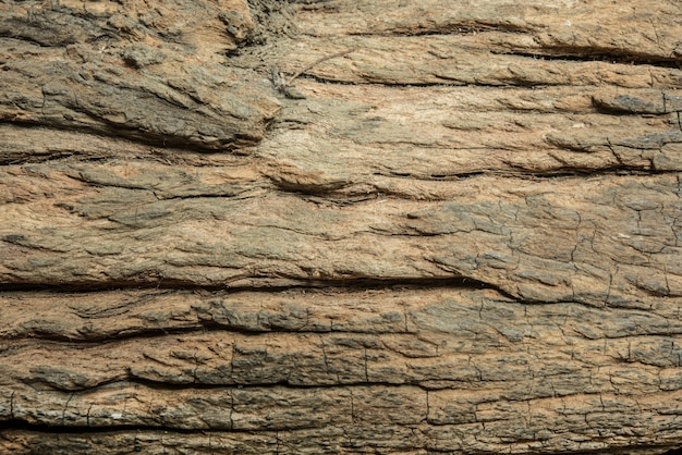 Foto gratuita agrietamiento de la puntada negra del grano de la pared