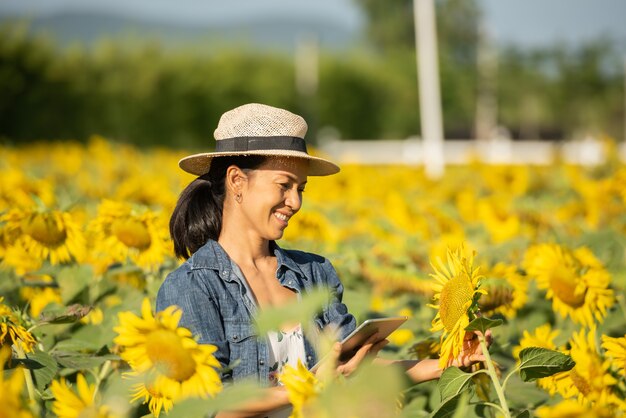 Agrónomo con una tableta en sus manos trabaja en campo con girasoles. Realice ventas en línea. la niña trabaja en el campo haciendo el análisis del crecimiento del cultivo de plantas. tecnología moderna. concepto de agricultura.