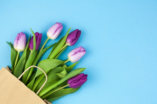 Agrupe tulipanes morados con una bolsa de papel marrón dispuesta en una esquina contra el fondo azul