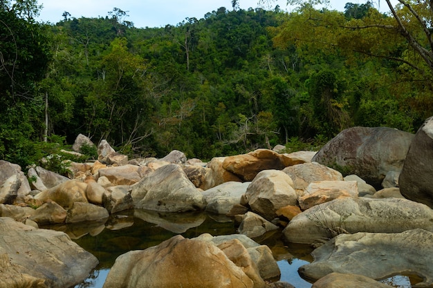 Foto gratuita agua en medio de rocas con una montaña boscosa