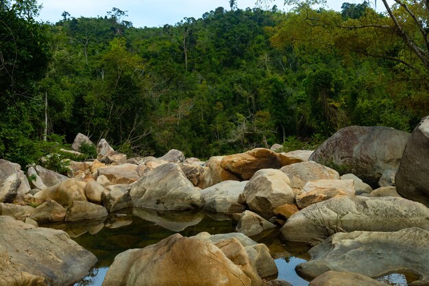 Agua en medio de rocas con una montaña boscosa