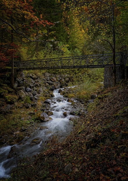 Agua que fluye sobre el puente de madera marrón