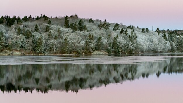 Agua tranquila y reflejos de árboles y cielo. Hermosa mañana silenciosa al amanecer.