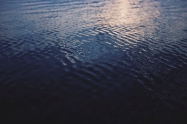 Aguas tranquilas en el fondo del océano azul oscuro