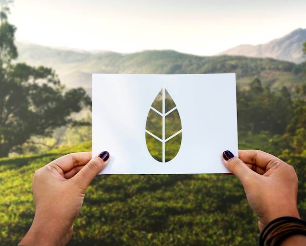 Foto gratuita ahorre la hoja de papel perforada de la conservación del medio ambiente de la ecología del mundo