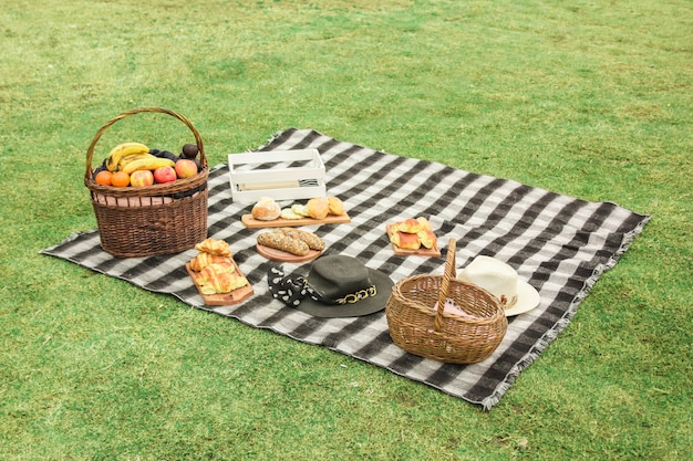 Ajuste de picnic en el prado