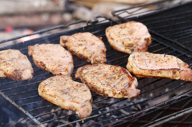 Al aire libre. Deliciosa parrillada