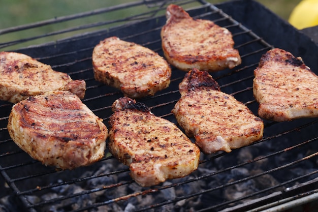 Al aire libre. Deliciosa parrillada