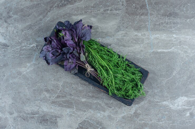Foto gratuito albahaca morada y eneldo en bandeja, sobre la mesa de mármol.