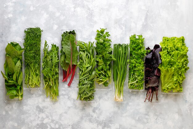 Albahaca verde fresca, cilantro, lechuga, albahaca morada, cilantro de montaña, eneldo, cebolla verde en cajas de plástico sobre hormigón gris