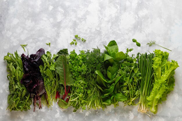 Albahaca verde fresca, cilantro, lechuga, albahaca morada, cilantro de montaña, eneldo, cebolla verde en cajas de plástico sobre hormigón gris