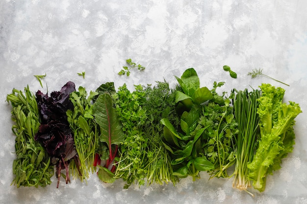 Albahaca verde fresca, cilantro, lechuga, albahaca morada, cilantro de montaña, eneldo, cebolla verde en cajas de plástico sobre hormigón gris