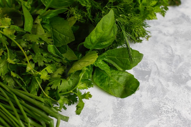 Albahaca verde fresca, cilantro, lechuga, albahaca morada, cilantro de montaña, eneldo, cebolla verde en cajas de plástico sobre hormigón gris