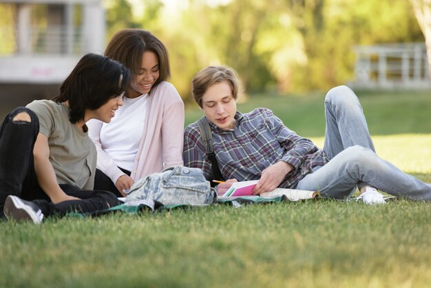 Alegre grupo de estudiantes multiétnicos que estudian al aire libre.