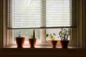 Foto gratuita alféizar de la ventana con plantas interiores en macetas marrones dentro de una habitación