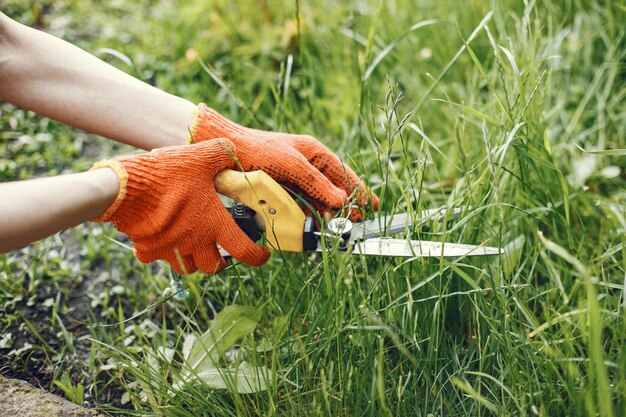 Alguien cortando arbustos con tijeras de jardín