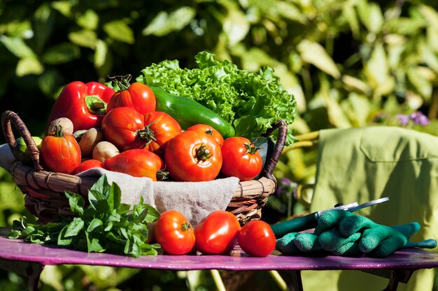 Algunas verduras en una canasta bajo la luz del sol