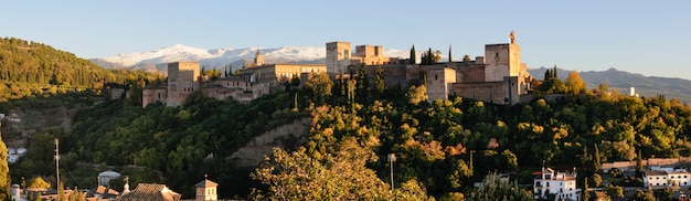Foto gratuita alhambra rodeada de árboles verdes