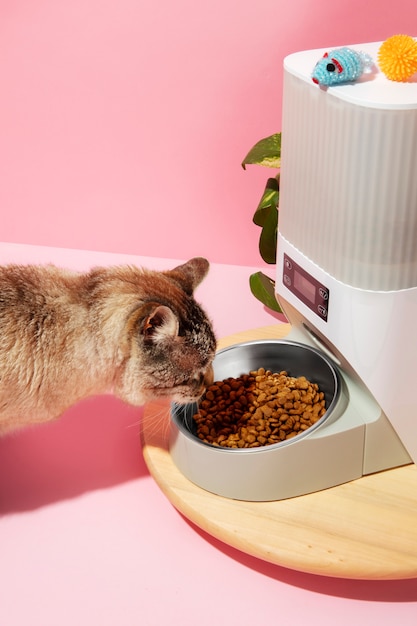 Alimentador inteligente para mascotas naturaleza muerta