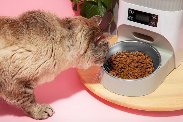 Alimentador inteligente para mascotas naturaleza muerta