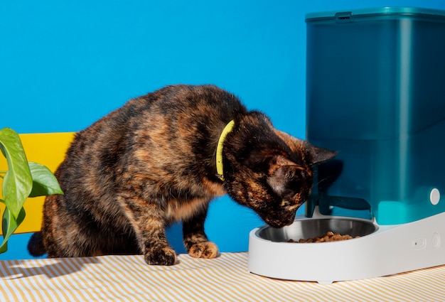 Foto gratuita alimentador inteligente para mascotas naturaleza muerta