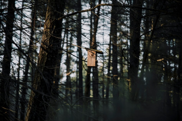 Alimentador de pájaros de madera en el árbol en el bosque