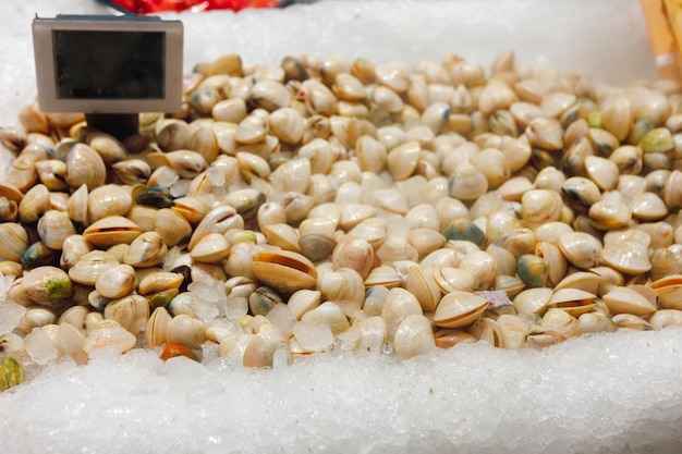 Almejas crudas frescas sobre hielo en el mercado