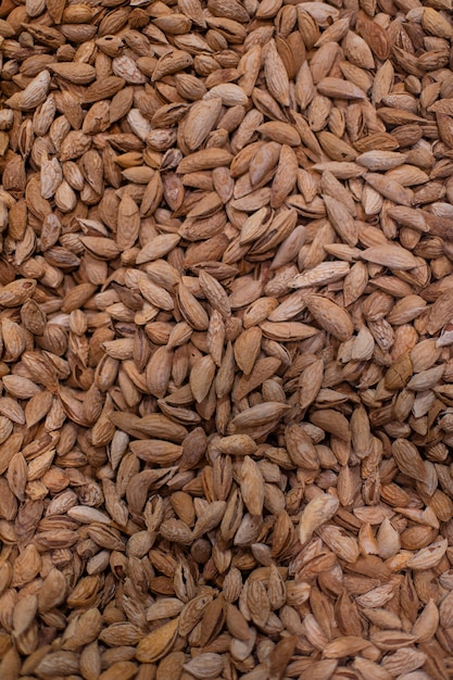 Almendras con cáscara en bolsa. Foto de alta calidad