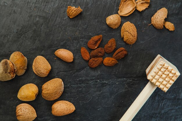 Almendras, conchas y martillo de carne