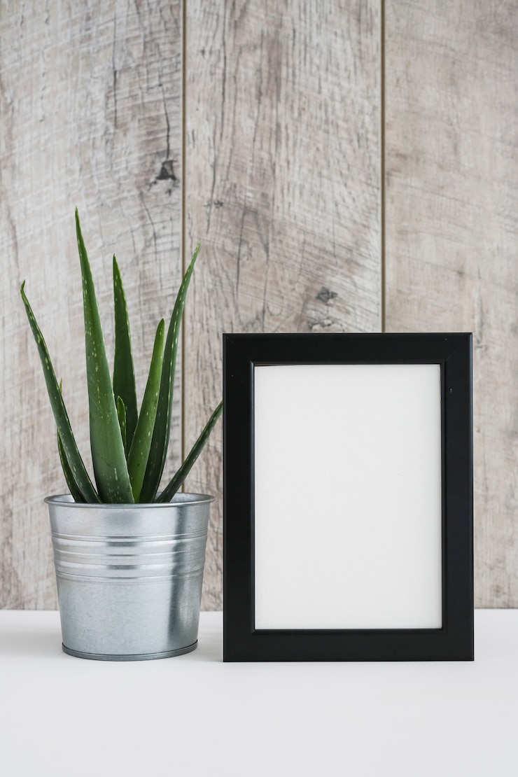 Foto gratuito aloe vera en recipiente de aluminio con marco de fotos blanco contra pared de madera