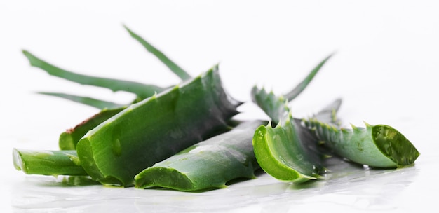 Aloevera sobre la mesa