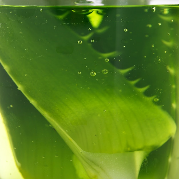 Aloevera sobre la mesa