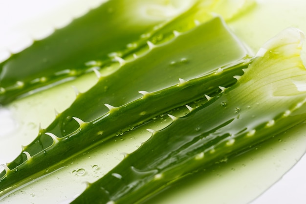 Aloevera sobre la mesa