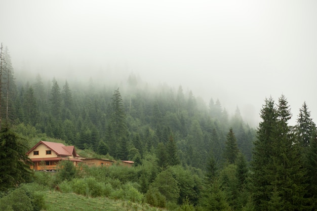 Foto gratuita alrededores de la casa rural a la luz del día