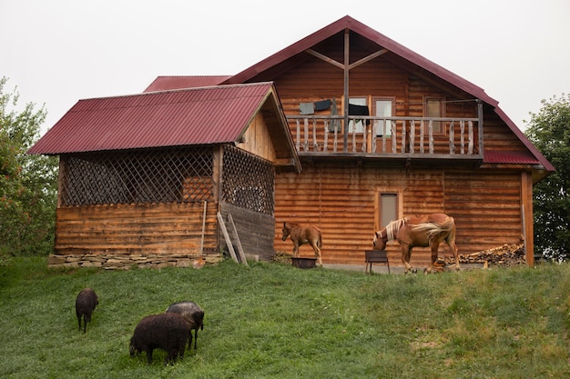 Alrededores de la casa rural a la luz del día