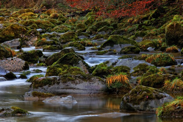 Alta definición de río que fluye en la montaña rocosa